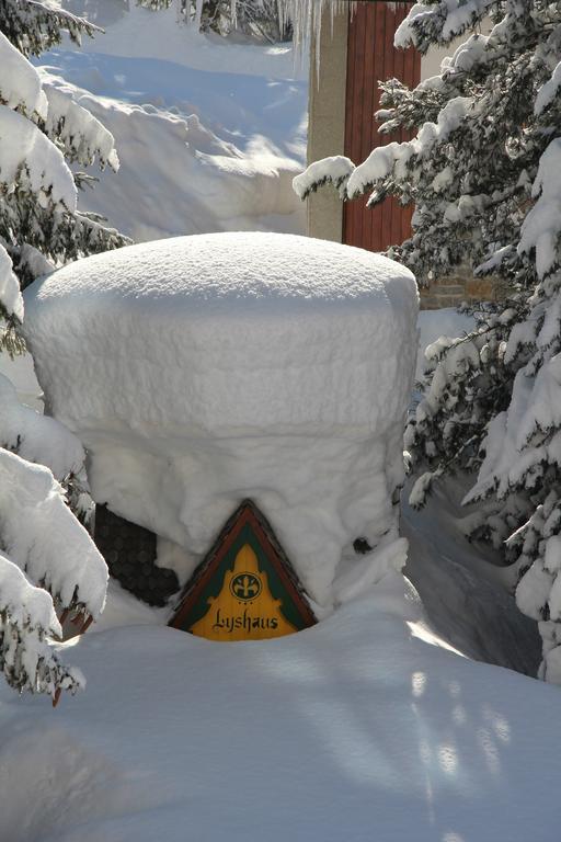 Hotel Lyshaus Gressoney-Saint-Jean Eksteriør billede